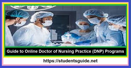 The 2024 Guide to Online Doctor of Nursing Practice (DNP) Programs-compressed