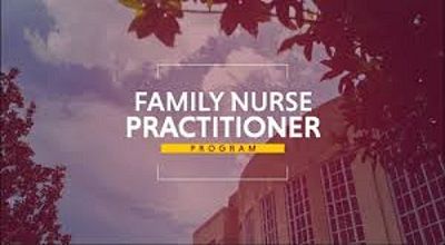 Online Family Nurse Practitioner Programs-compressed