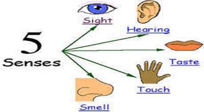 Utilizing the Five Senses to Enhance Learning-compressed