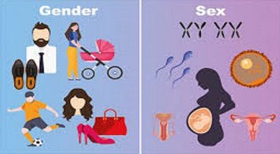 What Is the Difference Between Sex and Gender